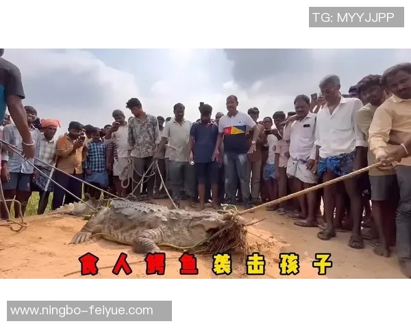 鳄鱼意外袭击致足球明星不幸遇难引发全球哀悼与关注